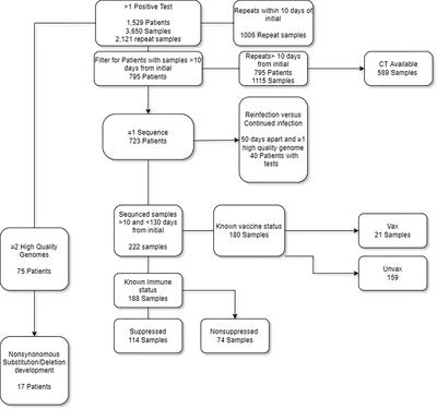 Large Scale SARS-CoV-2 Molecular Testing and Genomic Surveillance Reveal Prolonged Infections, Protracted RNA shedding, and Viral Reinfections